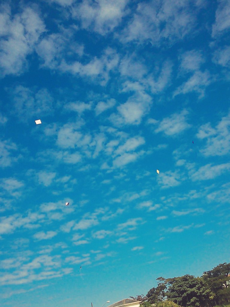 trafikzsul13's tweet photo. Época de pipa e o céu tá cheio!
#PipaCombate #Morrão #mandabusca https://t.co/IwNPhy8RdB