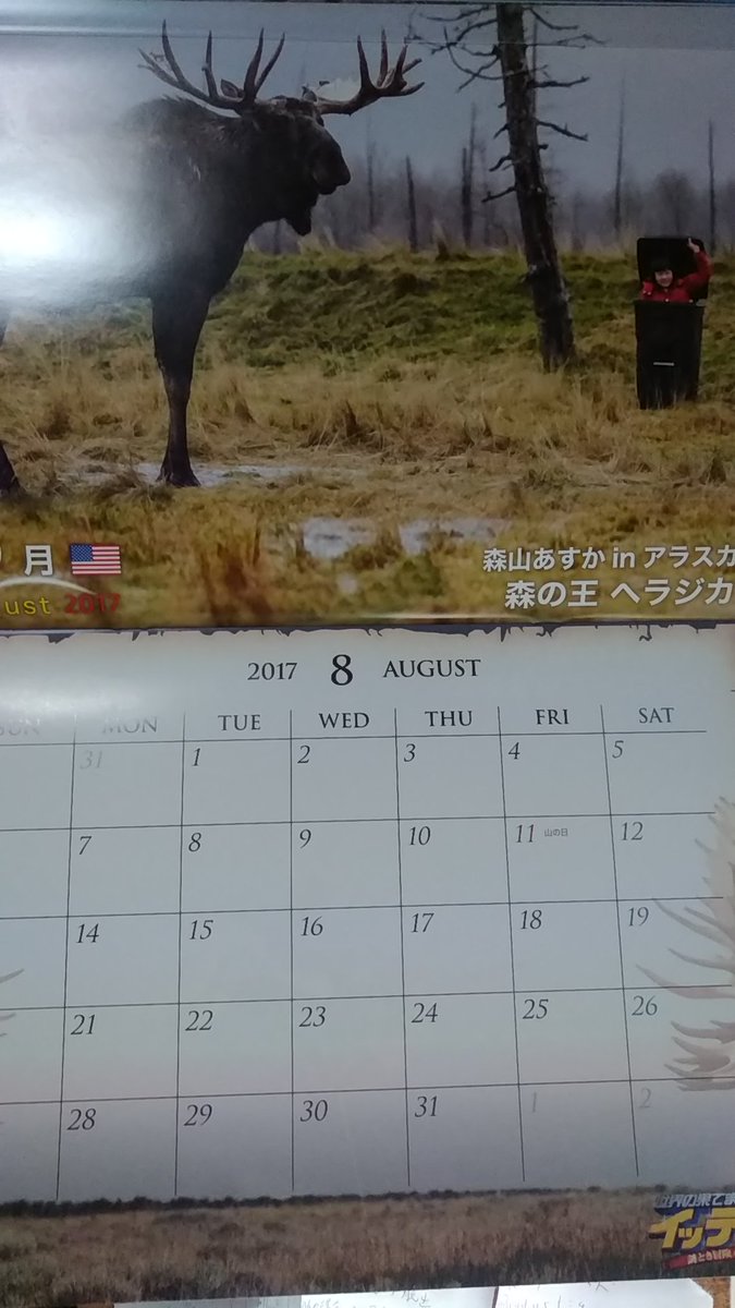 Mayawitch Naisen団 Twitterissa 世界の果てまでイッテqカレンダー 17年8月は 森山あすか In アラスカ 森の王 ヘラジカ というタイトルみたいです この回未視聴なので何が起こったか分かりませんが ゴミ箱になんか隠れていますね 相変わらずの無茶企画です