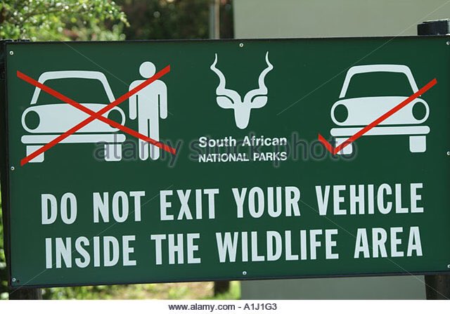 Matt Green tweet media