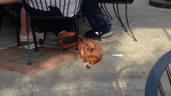 View image on Twitter