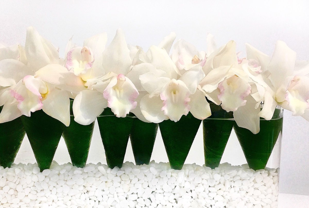 stevedavid0809's tweet photo. #cymbidium #modern #stevedavid https://t.co/P8h1XNx7Ir