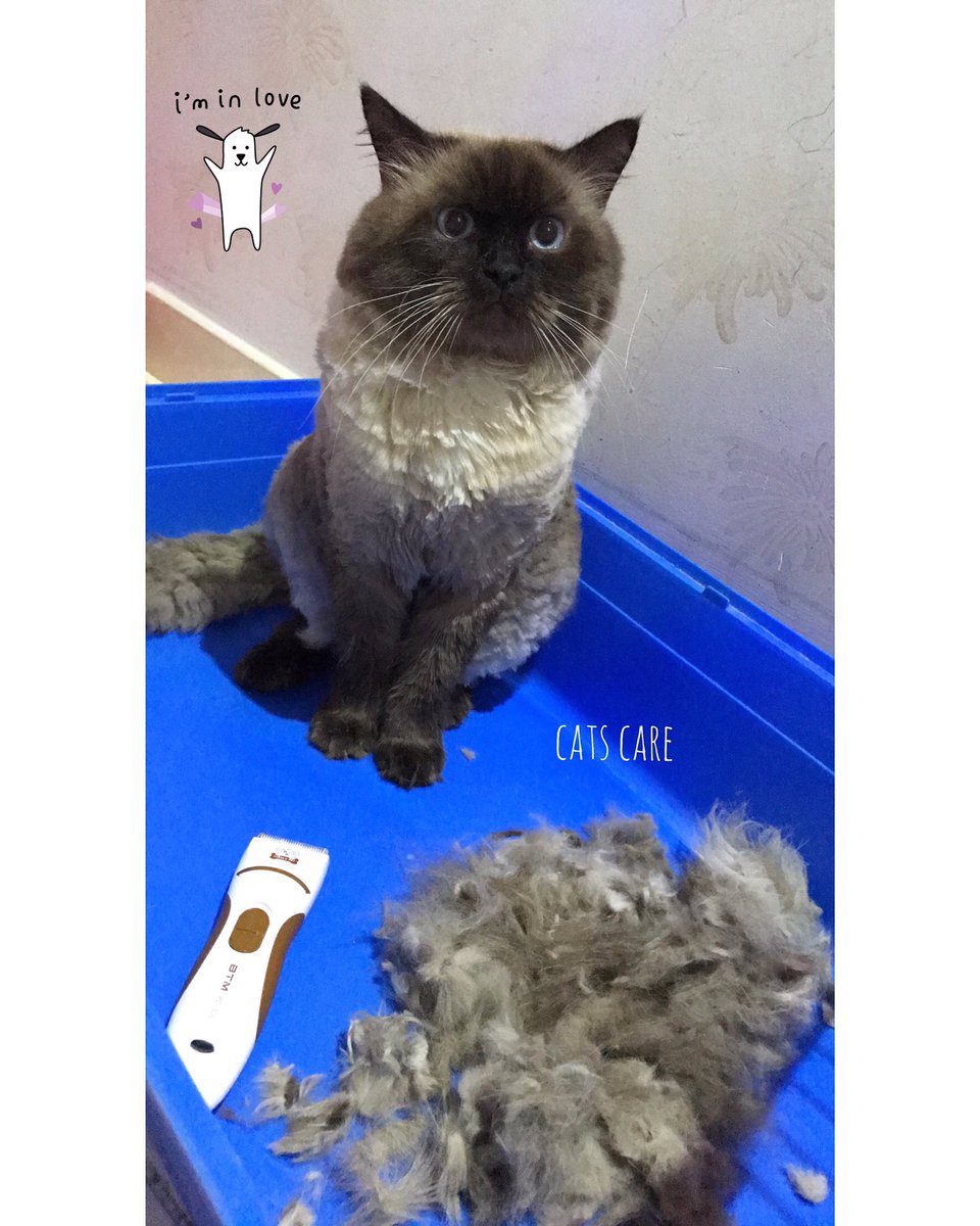 ساز الجميل خففنا شعره💕