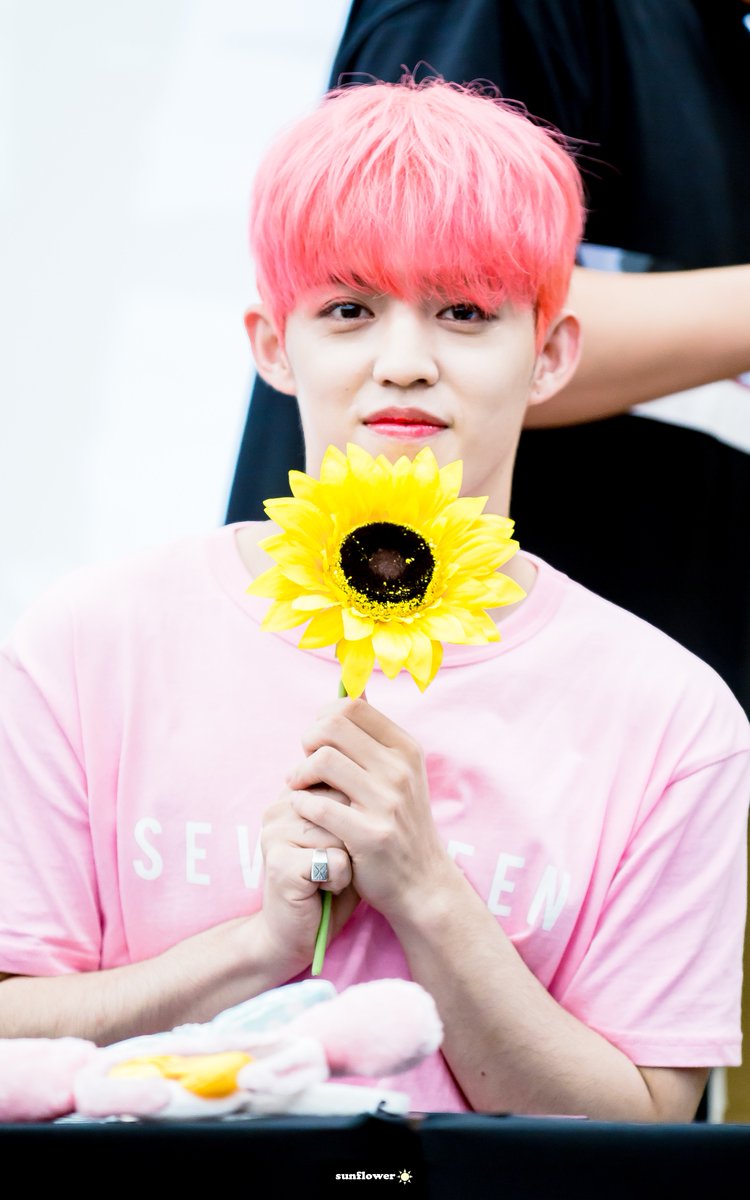 sunflower9588's tweet photo. 170724 도쿄 팬싸인회 2부
#세븐틴 #에스쿱스 
#SEVENTEEN #SCOUPS (@pledis_17)
🌻🌻🌻🌻🌻🌻🌻🌻 https://t.co/80CTnQzf1M
