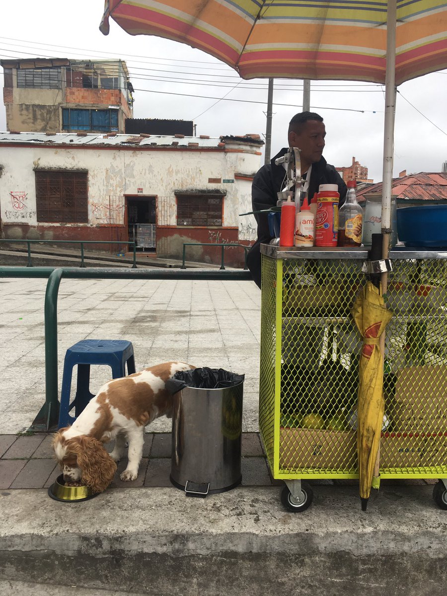 txpcol's tweet photo. Hoy es #Dogmingo. Jornada de alimentación barrio la Perseverancia en Bogotá https://t.co/3M2KNKERu4