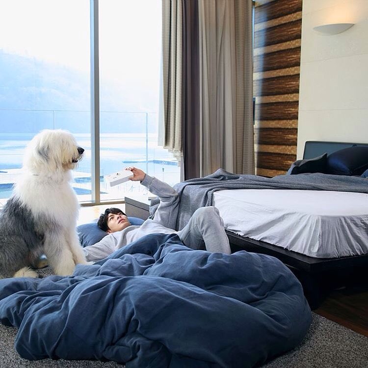 woobinista's tweet photo. Even better... (man on display not included) https://t.co/JbcgOL9jiT