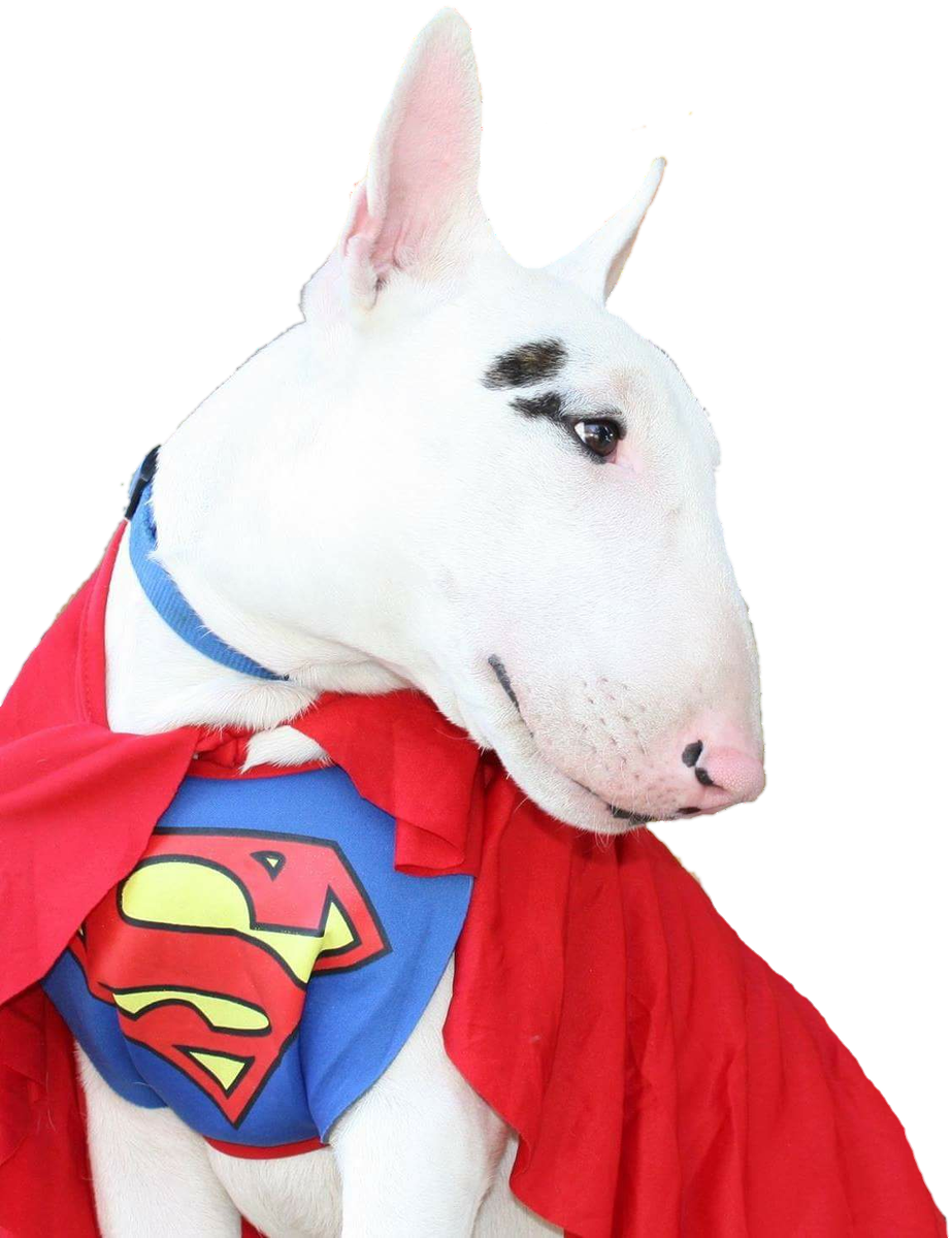 Have a great Sunday!