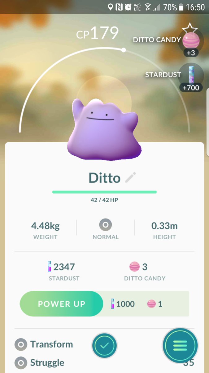 TeamNerdTV's tweet photo. @artygirl1997 went to catch a Rattata but she didnt realise she caught a Ditto
#TeamNerdTV #PokemonGO #ChesterPokeGo https://t.co/HQnN4JGF8G