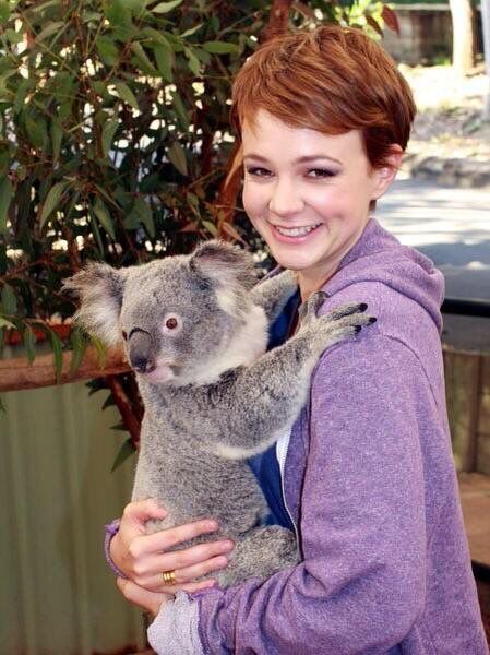 fanlq's tweet photo. #CareyMulligan https://t.co/vNECMoRVP7 https://t.co/065SZj67e2