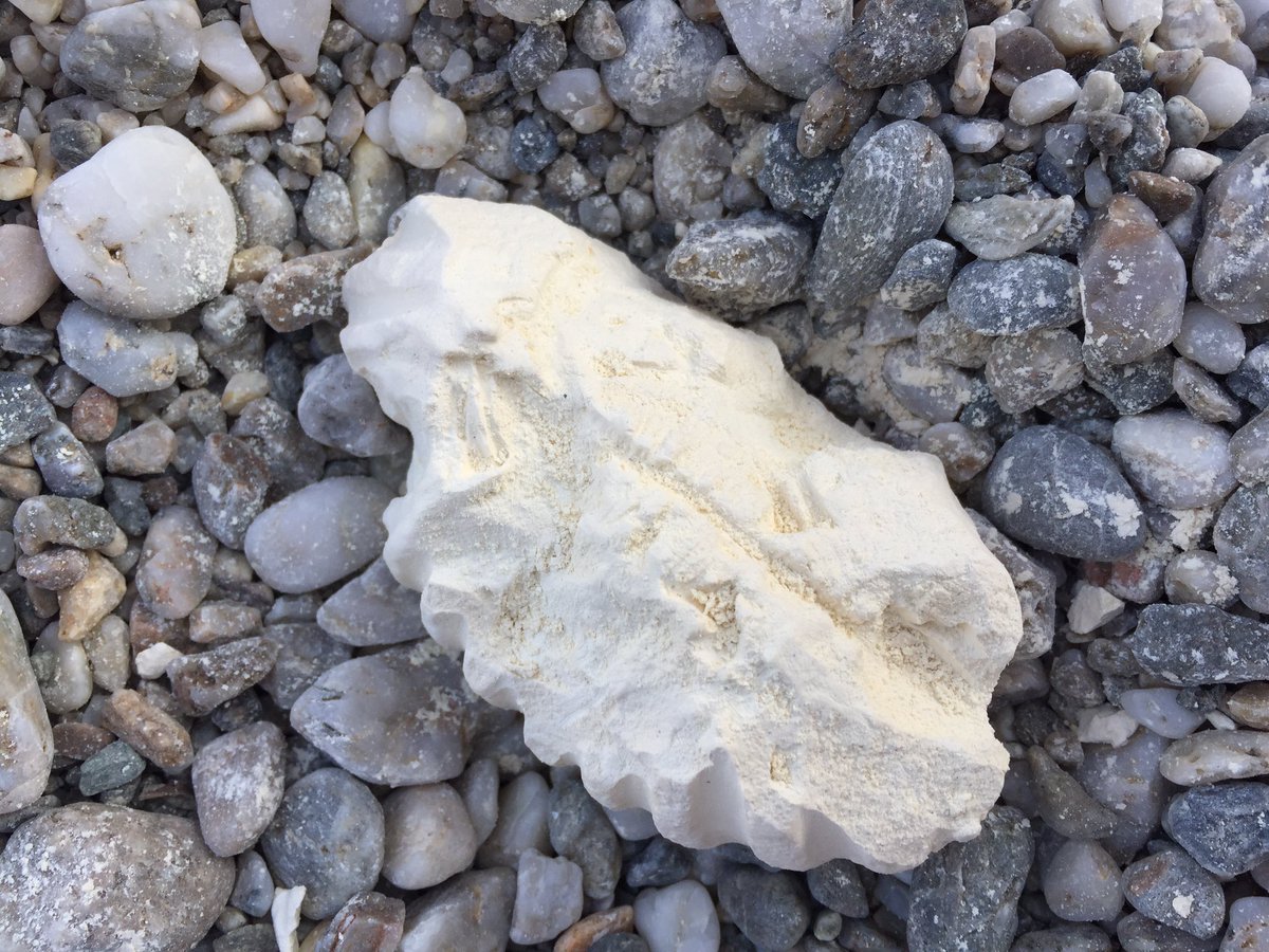 Jeu de plage intelligent par <a href="/flyingtigerfr/">Flying Tiger France</a> 🏖
⛏Gratter le coquillage et découvrir un fossile
<a href="/Inrap/">Inrap</a> en vacances 
#FaireNaîtreDesVocations