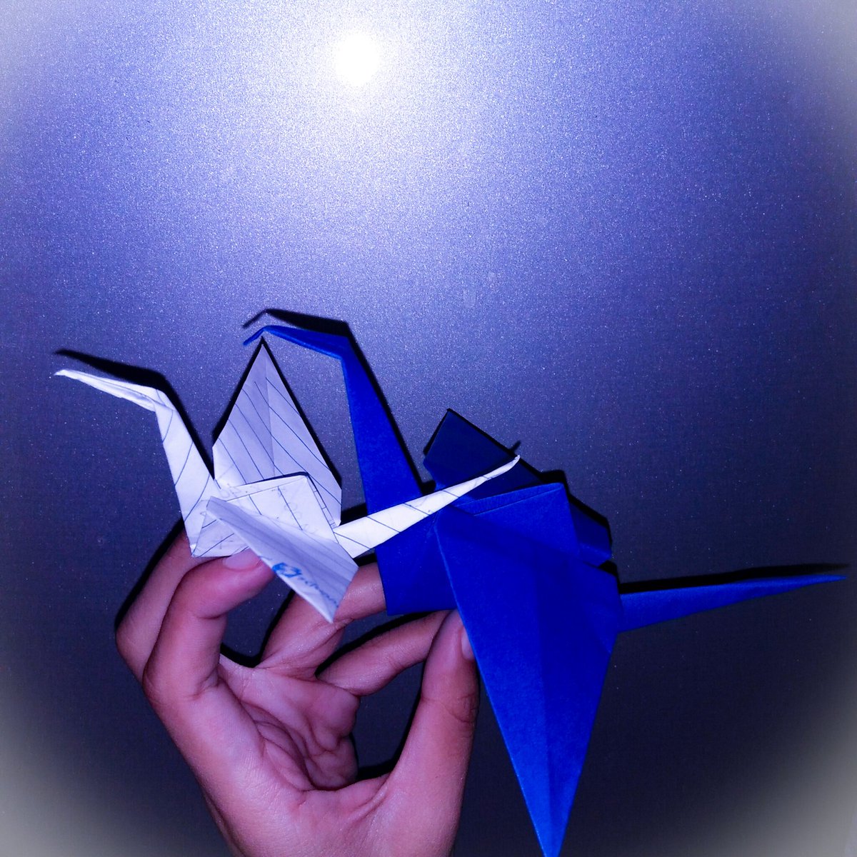 heyselknat's tweet photo. "If I could make a thousand paper cranes, I'd only have one wish ..." 🍌💖

#hangoversaKitaKita #sagingpa
#babydragonfly https://t.co/fbJKp5RzKg