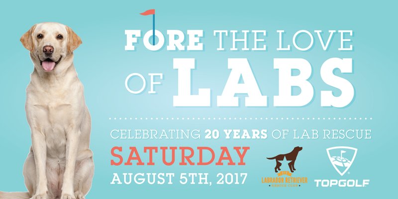 DFWLabRescue's tweet photo. Only 3 more days to get your tickets Fore the Love of Labs @ Top Golf Sat 8/5. get your tickets today.
https://t.co/CRH8eXrfqH https://t.co/IXVRaL2xeh
