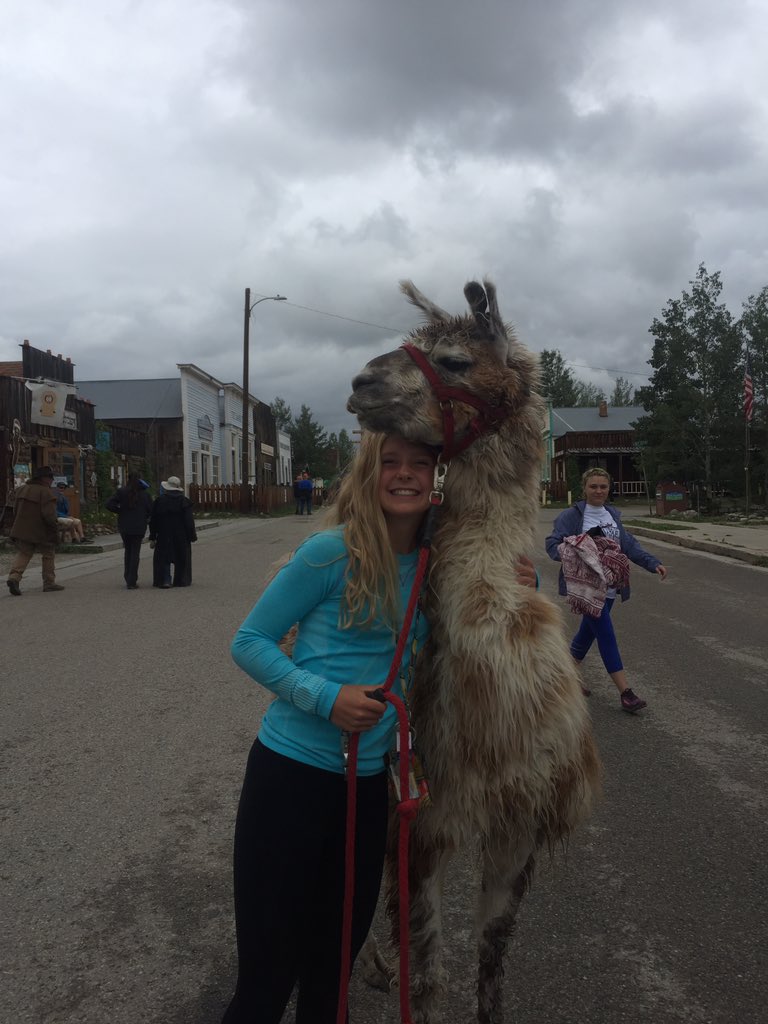sarahholsonn's tweet photo. Llama festival never disappoints ¯\_(ツ)_/¯ https://t.co/WYdVXS3Hhi