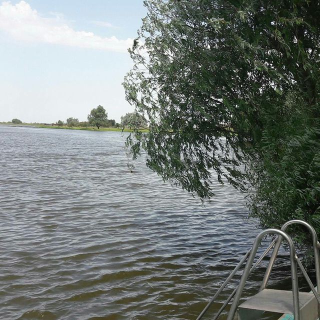 afasya1's tweet photo. Прекрасный воскресный день. Лето. Природа.  Друзья.  Что ещё нужно человеку для счастья... https://t.co/DAs9lTQmAu