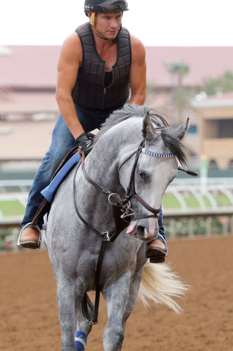 gap_racing's tweet photo. It's rough being so handsome. 😇 #WinTheSpace https://t.co/T8nnqz1qh4