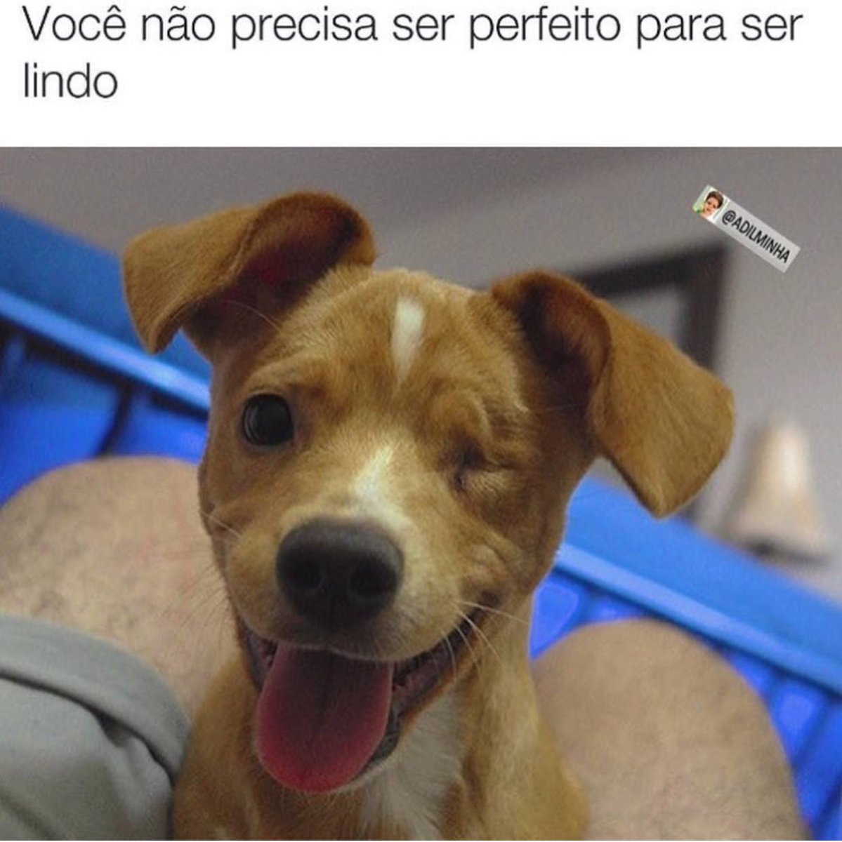 RelacionamentoJ's tweet photo. ❤️❤️❤️ https://t.co/knguvptxrF