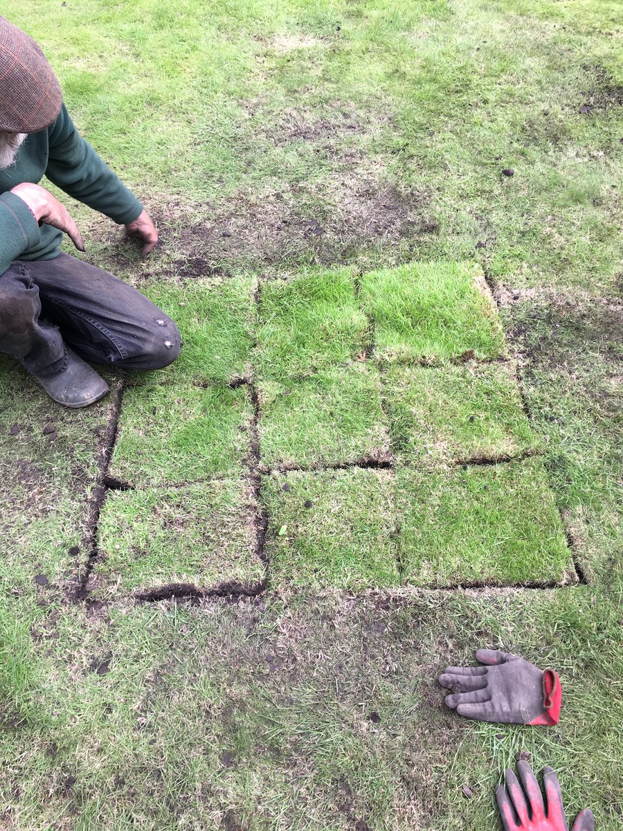dalesarch's tweet image. The last test pit of #WeDigCommunity has been backfilled, thank you to everyone who was involved especially wonderful volunteers!