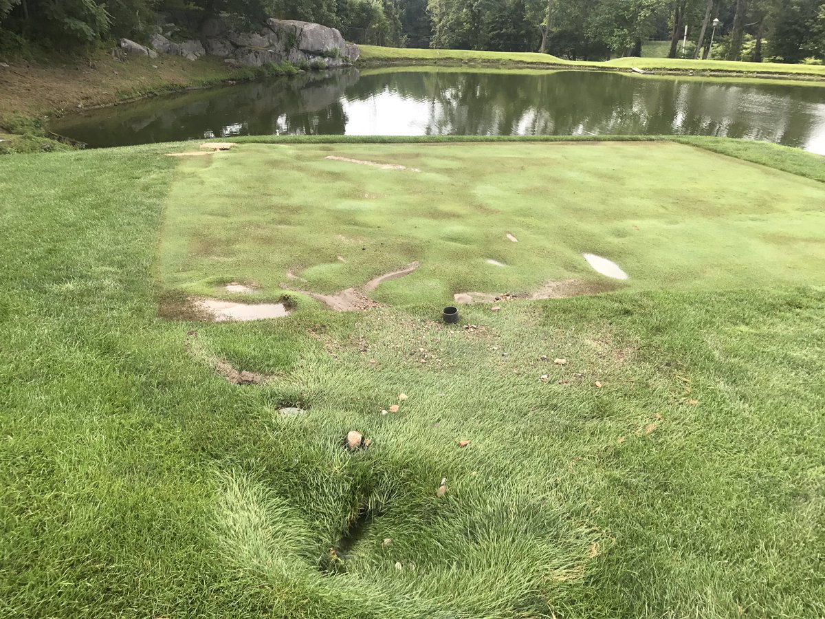 Sunday morning blow outs