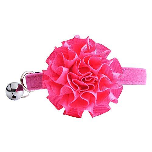 lovecat247's tweet photo. BUYITNOW Adjustable Cat Co...
Link => https://t.co/jIEjqkLHEI
#catCollars #catPetSupplies #catCategories #UFCLongIsland #UFCLongIsland https://t.co/jMEWk2PUaI