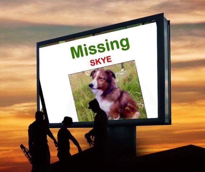 <a href="/findskye/">Skye</a> #Missing #Dumfries