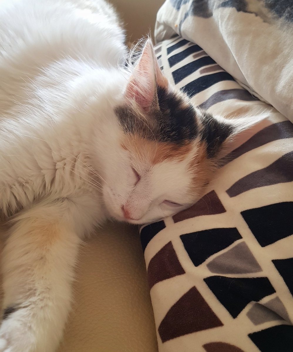 I can't human today! Enough adulting for the weekend!  #chill #GoodbyeWorld