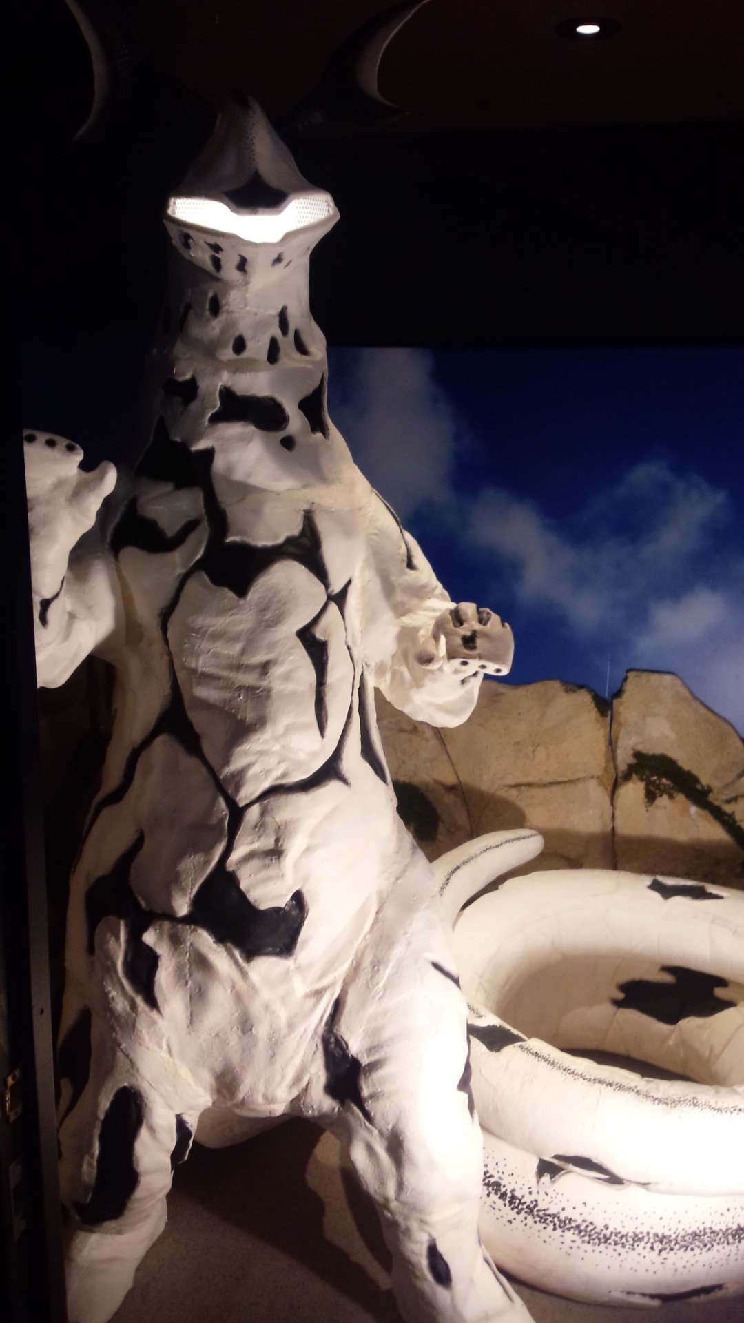 ☄🐲中山中👻🎃 on X: 