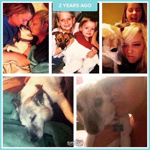 bmsalerno13's tweet photo. #RIPBuddyLee you will always have a special place in my heart 🐶 https://t.co/r938zeZmK8