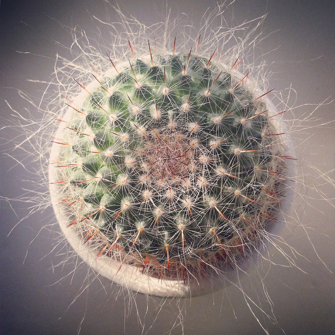 itsgrahamfoster's tweet image. Photo By Jonathan Wilson | Unsplash
#designdeinteriores #designing #designed #designlife #designstudio
