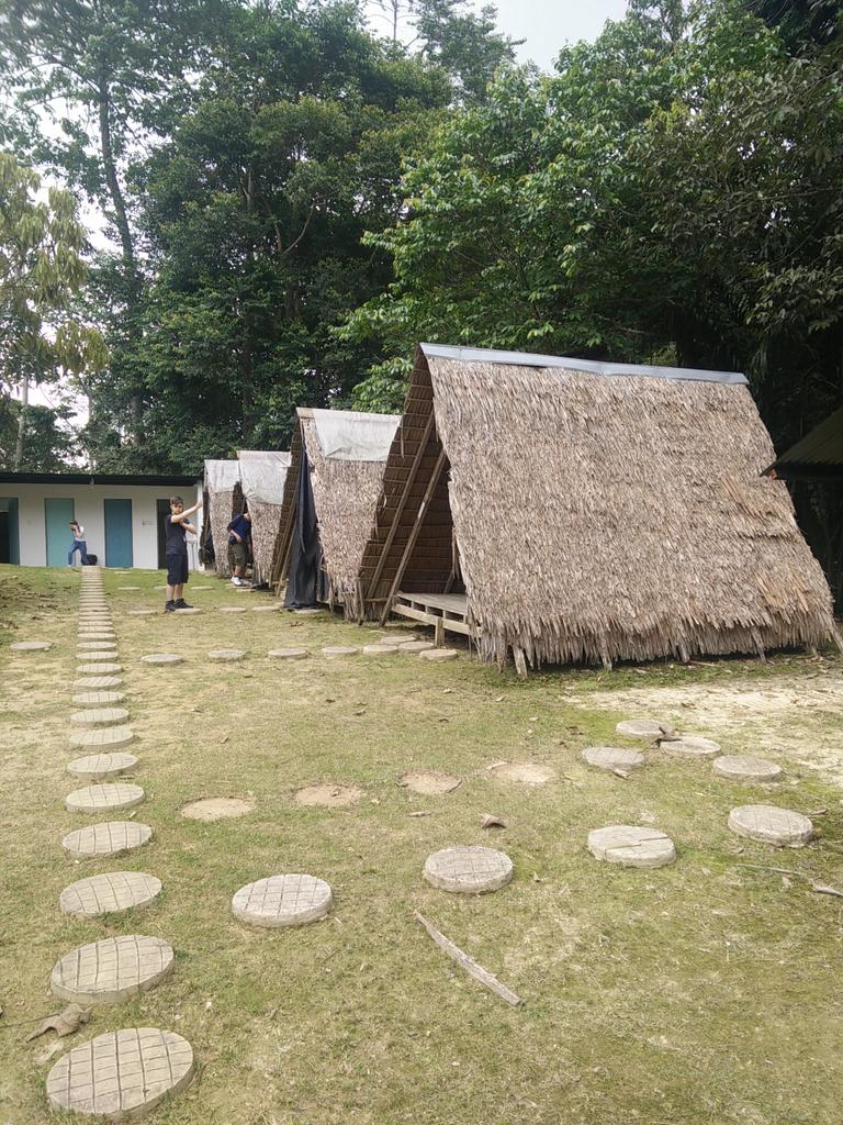 NC_MrStones's tweet photo. Getting settled at Camp Utan. Great staff and a fantastic team atmosphere @CampBorneo @NC_Borneo https://t.co/czA2E17mlj