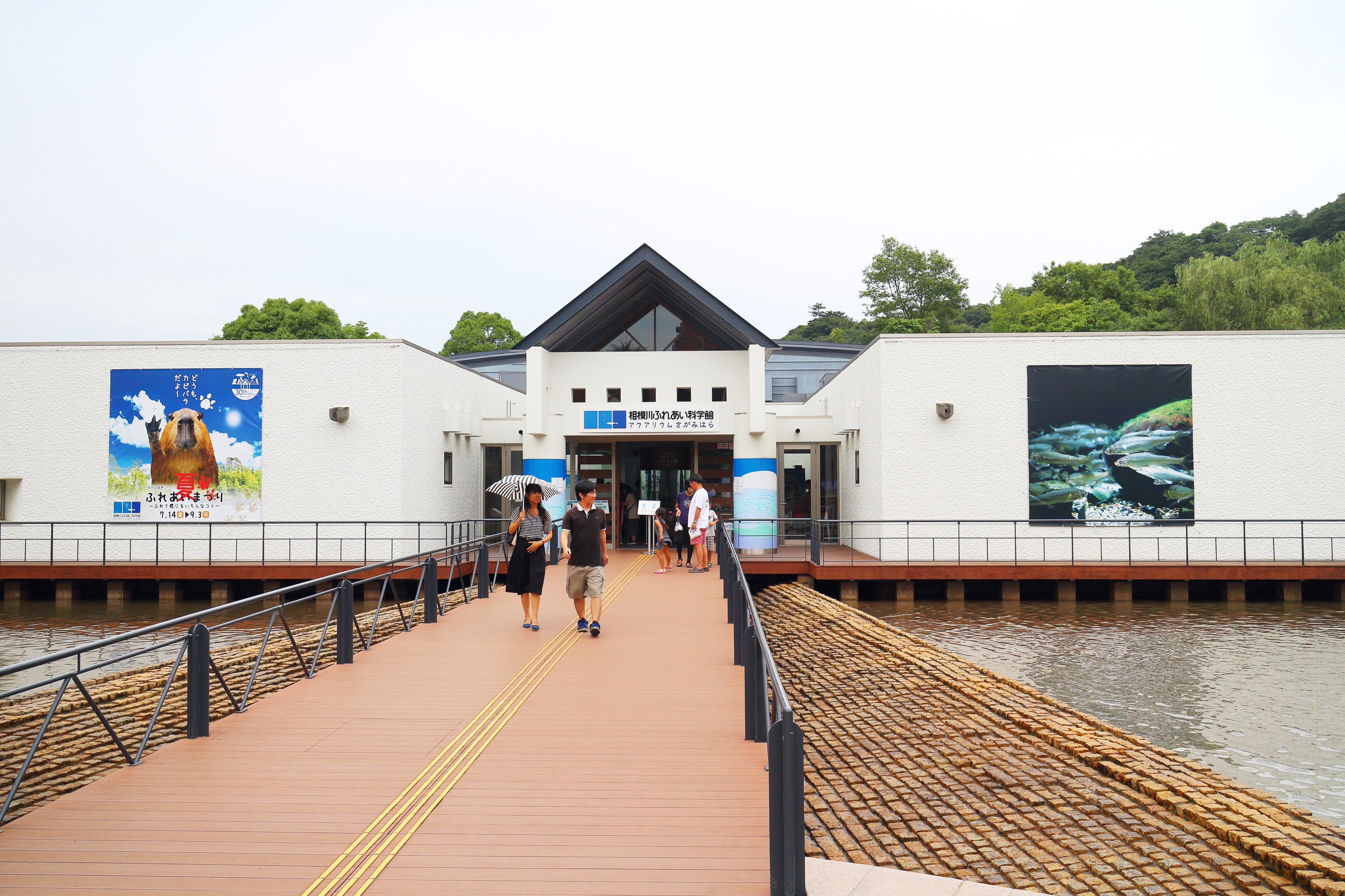 ちょこすき 相模川ふれあい科学館に行ってきた 相模川について楽しく学べる淡水水族館でお気に入りの場所 川魚や 魚道 河川工作物について勉強できるよ お魚に餌やりもできるし水遊びもできるからファミリーに人気 相模川ふれあい科学館