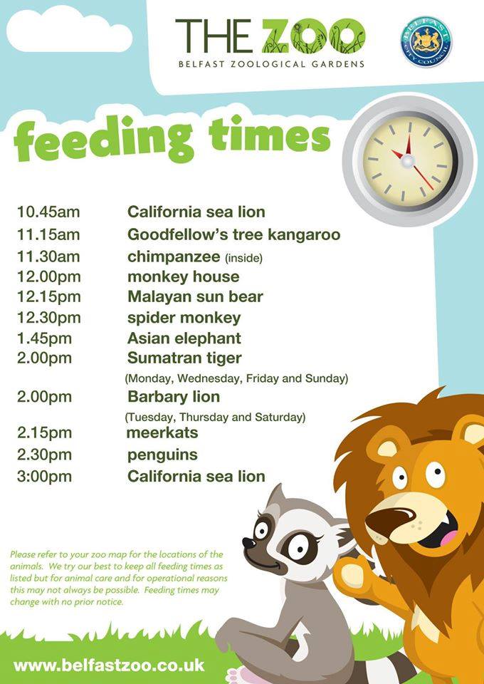 Belfast Zoo (BelfastZoo) Twitter