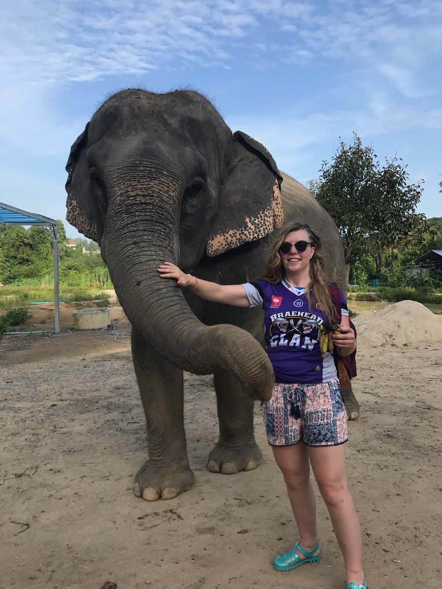 justgirl_h's tweet photo. Representing the @BraeheadClan on holiday travelling in Thailand. Visiting Phi Phi viewpoints and Phuket Elephant Sanctuary 💜🇨🇷🐘#ClanOnTour https://t.co/o4seK8mnFd