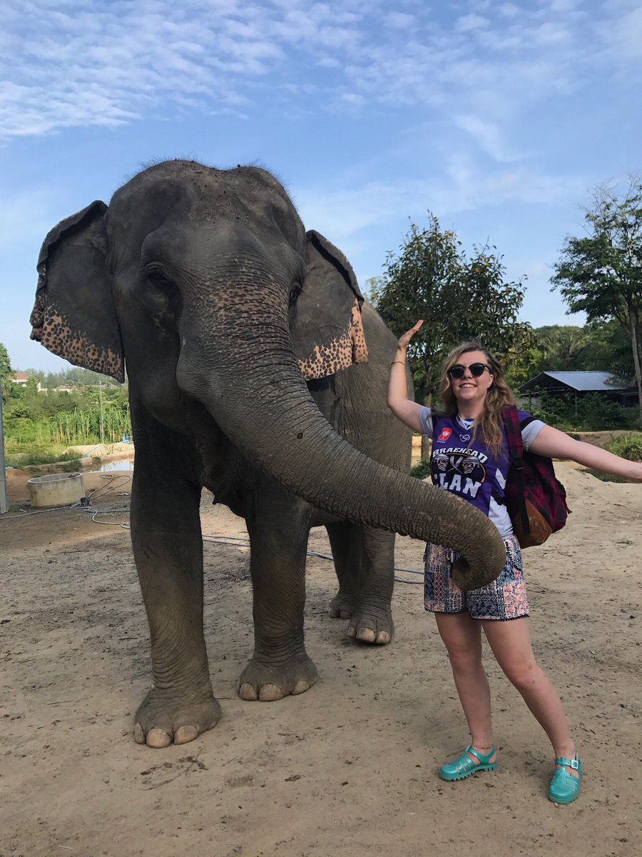 justgirl_h's tweet photo. Representing the @BraeheadClan on holiday travelling in Thailand. Visiting Phi Phi viewpoints and Phuket Elephant Sanctuary 💜🇨🇷🐘#ClanOnTour https://t.co/o4seK8mnFd