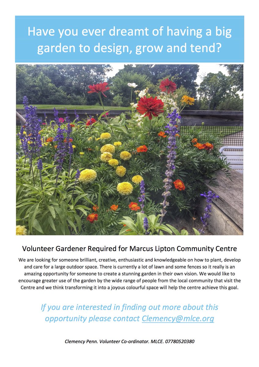 Marcus Lipton tweet media