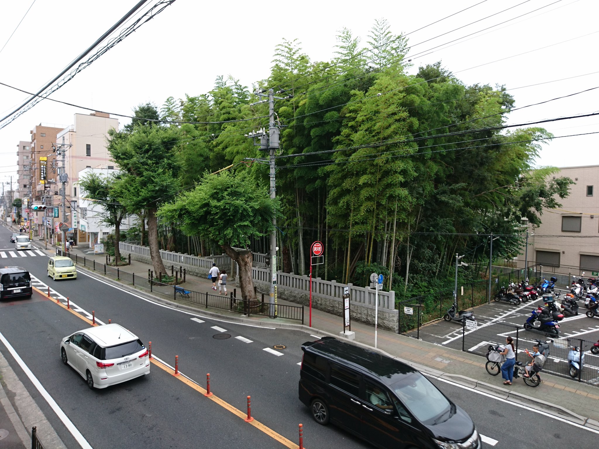 鳥居 歩道橋の上からみた八幡の藪知らず 辺りには高層マンションも立ち並ぶ都会に いまだに禁足地が残り 畏れ敬われている T Co Gefv2jdoym Twitter