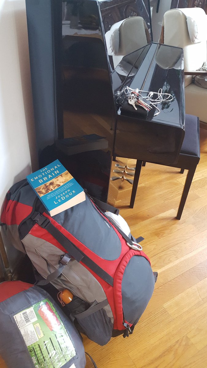 JanHomolak's tweet photo. Next on the reading list: LeDoux - The Emotional Brain
What are you reading next #TwitterScientists ? #readinglist #toread https://t.co/U90vdzLFlS