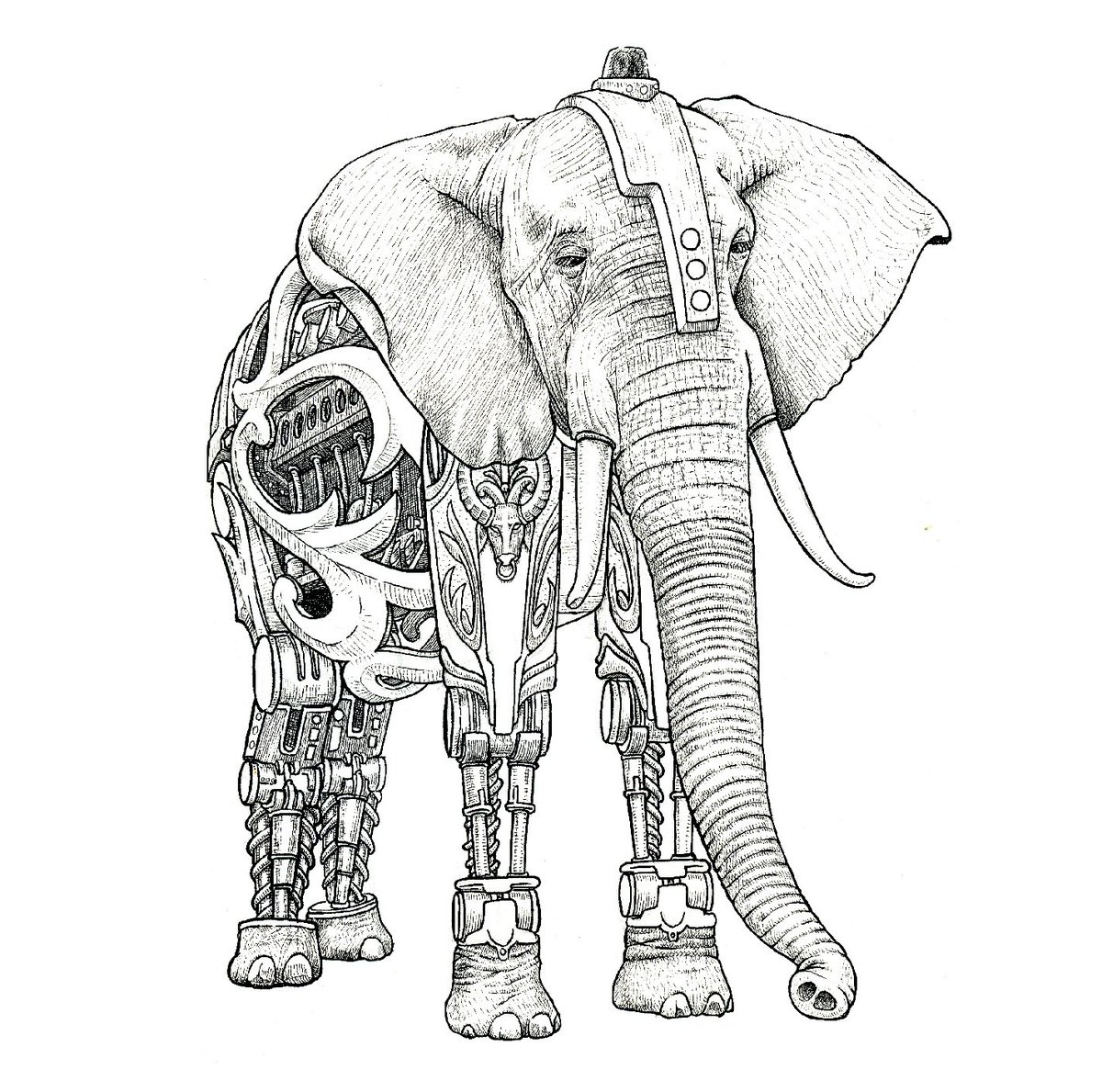 K_Black_Line's tweet photo. One of projects is making a coloringbook of mechanical animals. Here's one of them. #coloringbook #art #twitchcreative https://t.co/oq9SwW1XB8