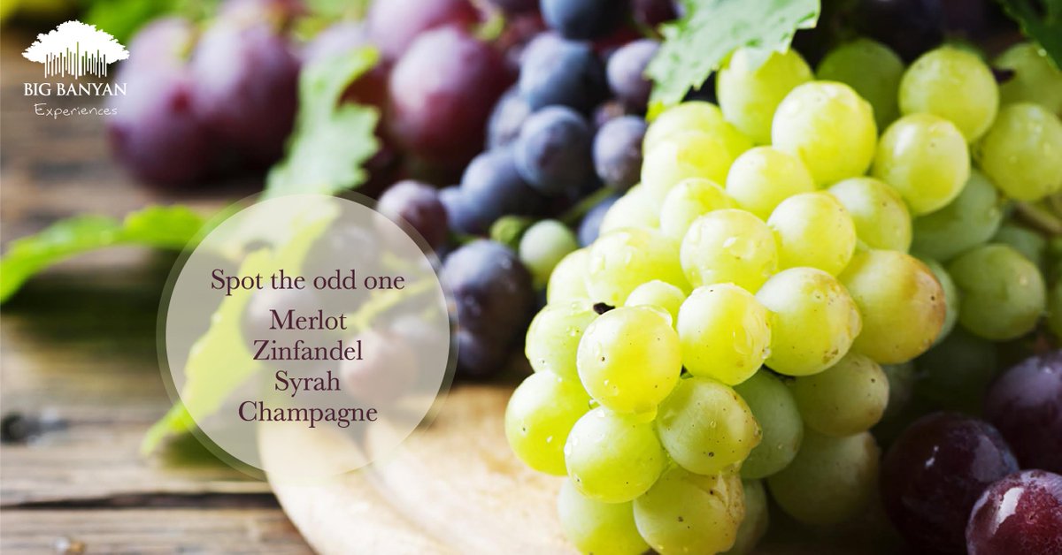 bigbanyanwines's tweet photo. In the list below, spot the one that's not a grape varietal.
#trivia #weekend_tricks #wine #winelover #winetasting #indianwine #quiz https://t.co/RrSgDJP1oM