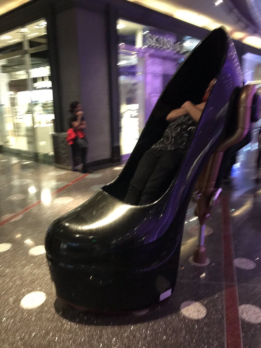 MattrKing's tweet photo. it's 2am in vegas and zane is just napping in a life size high heel https://t.co/uAvlM4Q1vJ