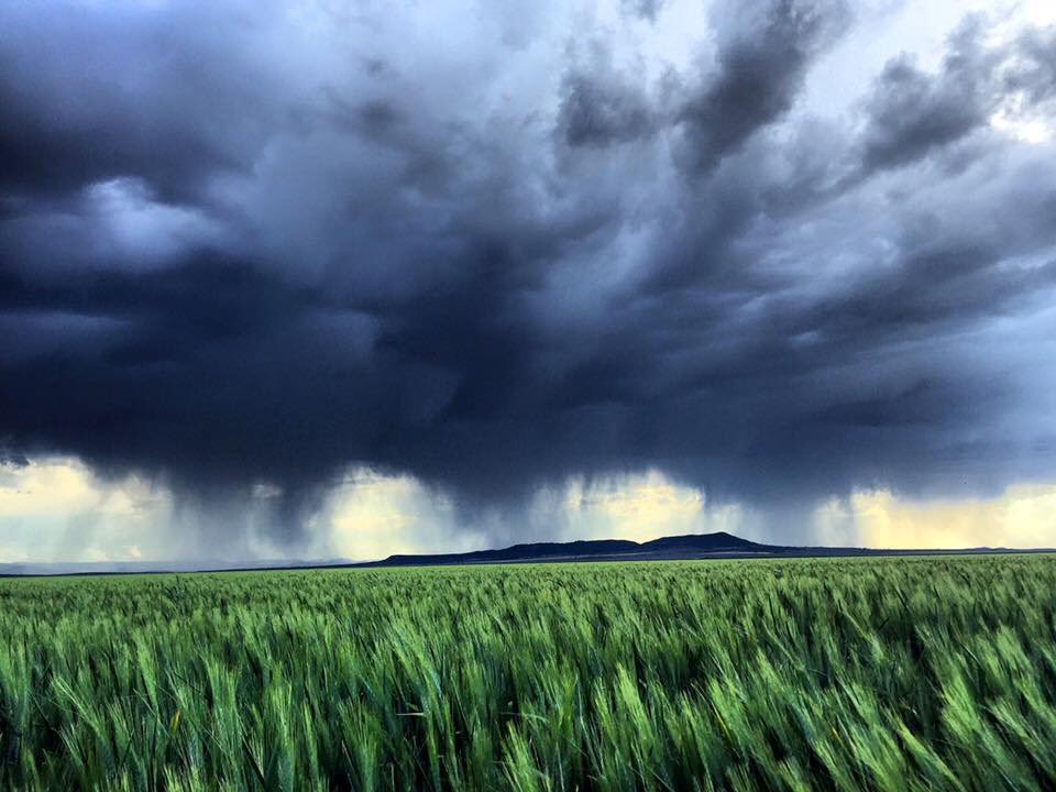 StopShenhua's tweet photo. "The idea that you can dig a 300m deep pit next to a flood plain and it will not impact on the water table is ridiculous" #shenhua #auspol https://t.co/WruWLvwz22
