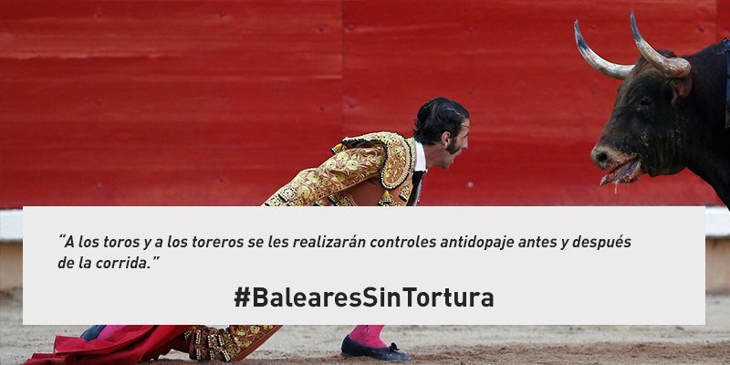 AnimaNaturalis's tweet photo. ¡Únete! ¡Pedimos a los políticos en Baleares que aprueben esta ley! TweetStorm este domingo a las 20:00h con el hashtag #BalearesSinTortura https://t.co/46MS4xbY7P