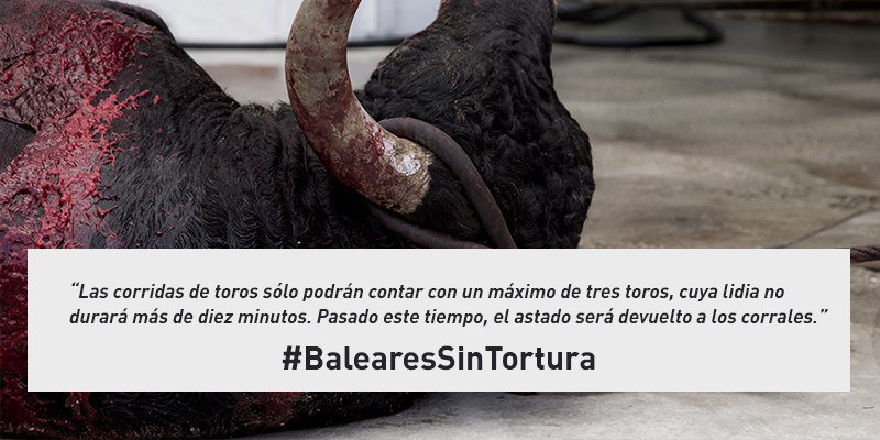AnimaNaturalis's tweet photo. ¡Únete! ¡Pedimos a los políticos en Baleares que aprueben esta ley! TweetStorm este domingo a las 20:00h con el hashtag #BalearesSinTortura https://t.co/46MS4xbY7P