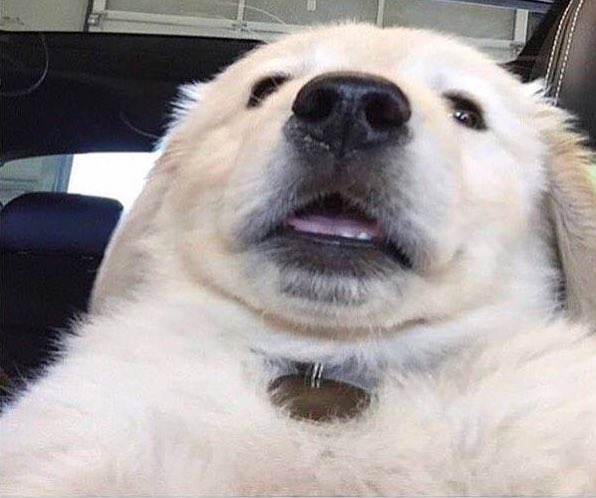 RRWWE's tweet photo. When insomnia kicks in and I watch demonic horror movies alone in my room in the dark. #IDontLearn #PicUnrelated https://t.co/k1c25zhcrN