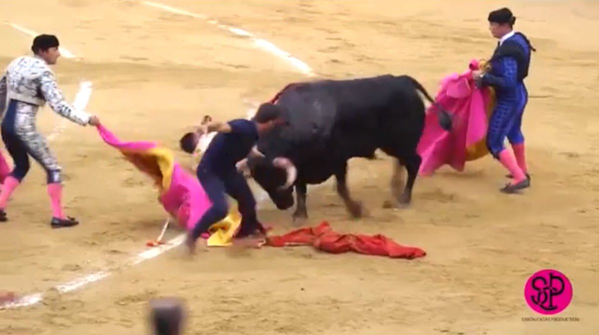 FansRafaelillo's tweet photo. Jugarse la vida para salvar a un amigo.
@RRRafaelillo haciéndole el quite a cuerpo limpio.Impresinante. https://t.co/NR4wTOG0XQ