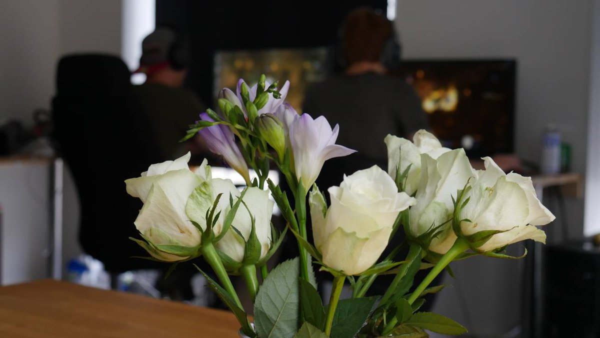 Dag 3 har börjat. Stream går live 13:00 @ twitch.tv/zestsports