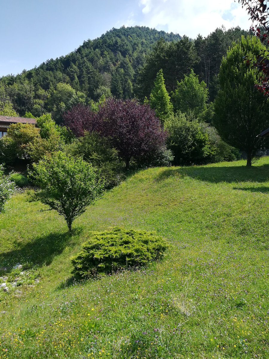 fusi79's tweet photo. Non solo #startup
#Onore mercatini a Klm zero arrivo!
#clusone #rovetta #songavazzo #valseriana @ValSeriana @TurismoBergamo #MadeInItaly https://t.co/DrxKeE4yEc