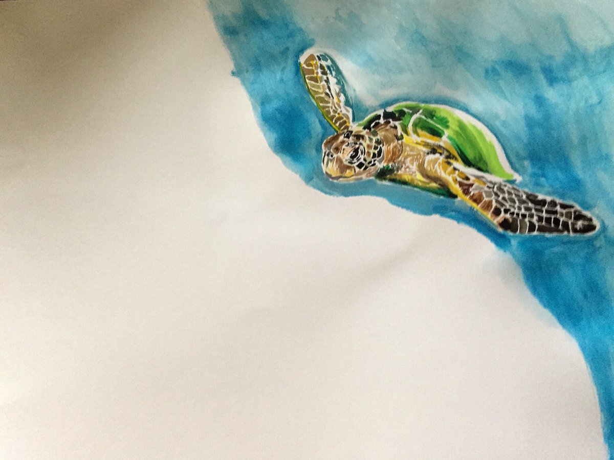 m1ruton's tweet photo. SEATURTLE IN THE SEA.    #seaturtle #sea #drawing #art #paint #海 #ウミガメ #바다거북 #바다 https://t.co/Cjt5V2d41L