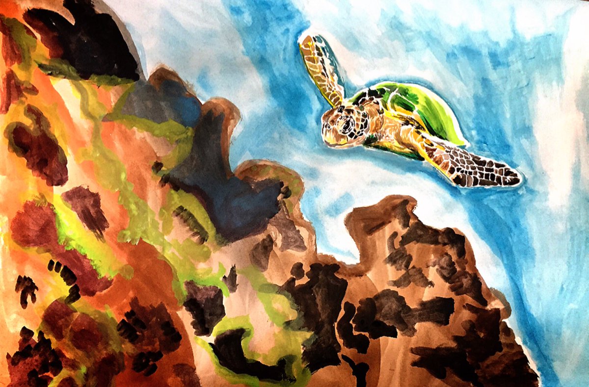 m1ruton's tweet photo. SEATURTLE IN THE SEA.    #seaturtle #sea #drawing #art #paint #海 #ウミガメ #바다거북 #바다 https://t.co/Cjt5V2d41L