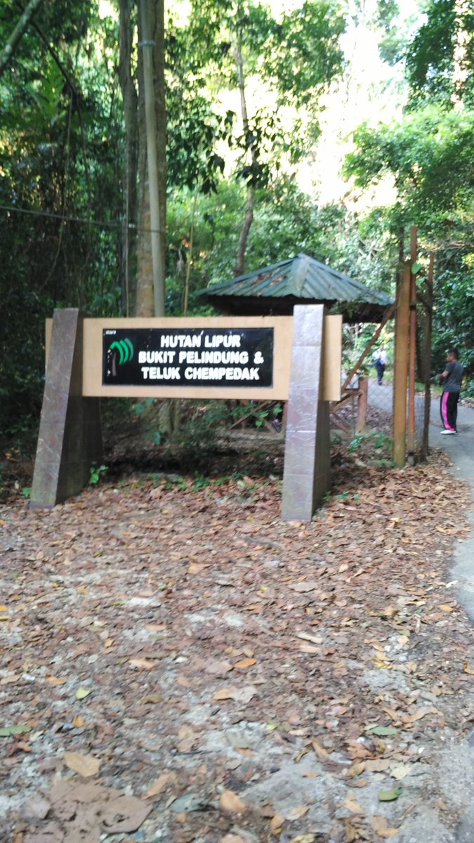 AmyrulRuslan20's tweet photo. aku dh terlalu tua ke utk nk pnjat bukit ni?x larat doooww..😭 https://t.co/CCPTJCEHx0