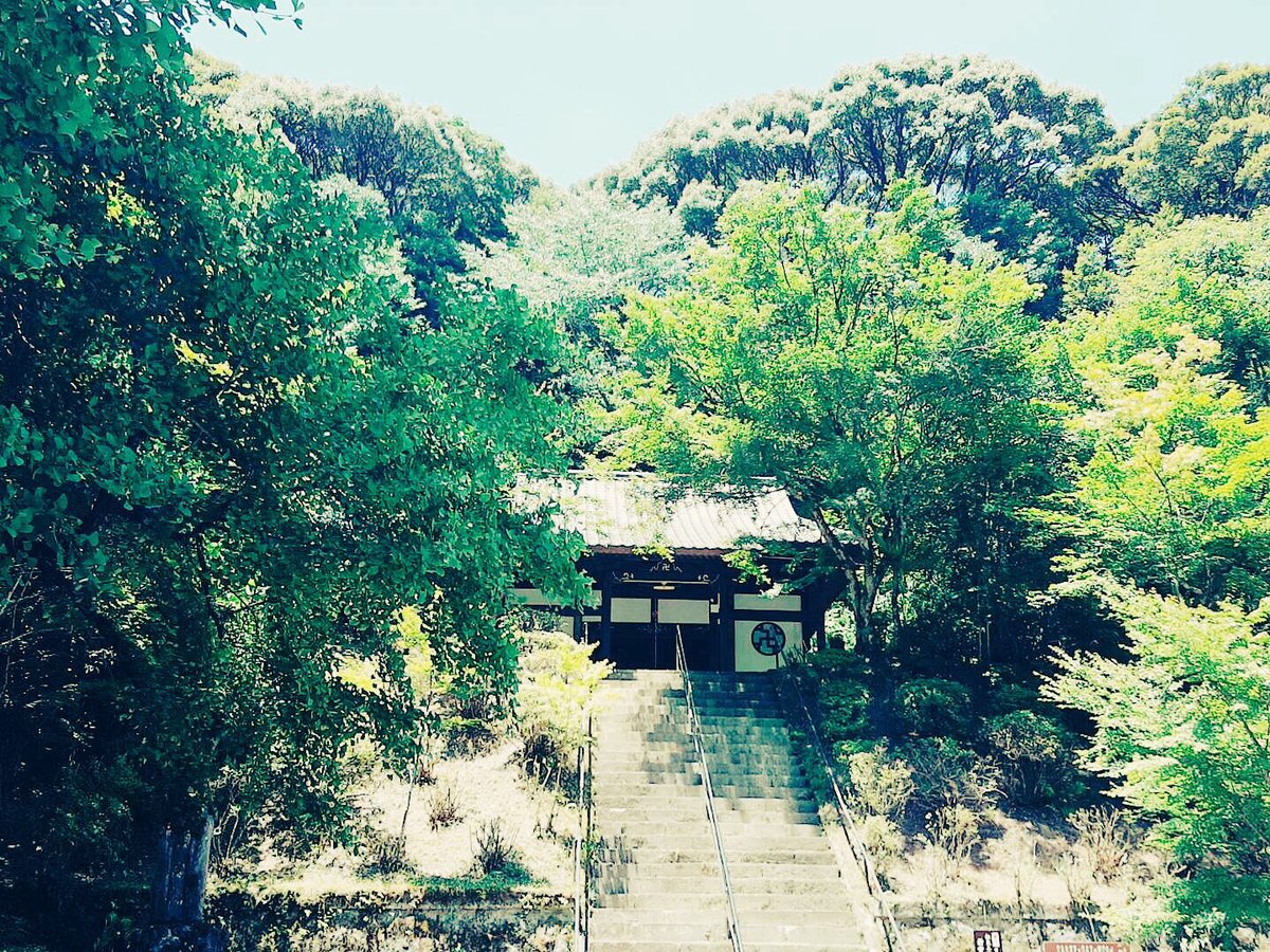 KUMAJECT2's tweet photo. 錦町にある『新宮寺』。
静かで緑が溢れるこのお寺では
『座禅体験』や『球磨 禅心茶』を頂けます🍵
#人吉球磨の旅 #座禅
#田舎を旅する
#自然 #緑
#熊本県立大学
#KUMAJECT https://t.co/LZA2brypSa