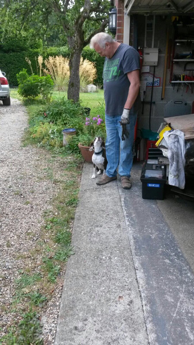 MaddiesTails's tweet photo. Mrs 2 legs told me off for eating poo... luckily Mr still loves me https://t.co/jQvBN7oxry
